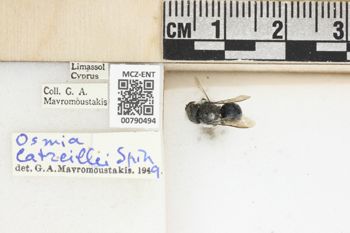 Media type: image;   Entomology 790494 Aspect: Labels